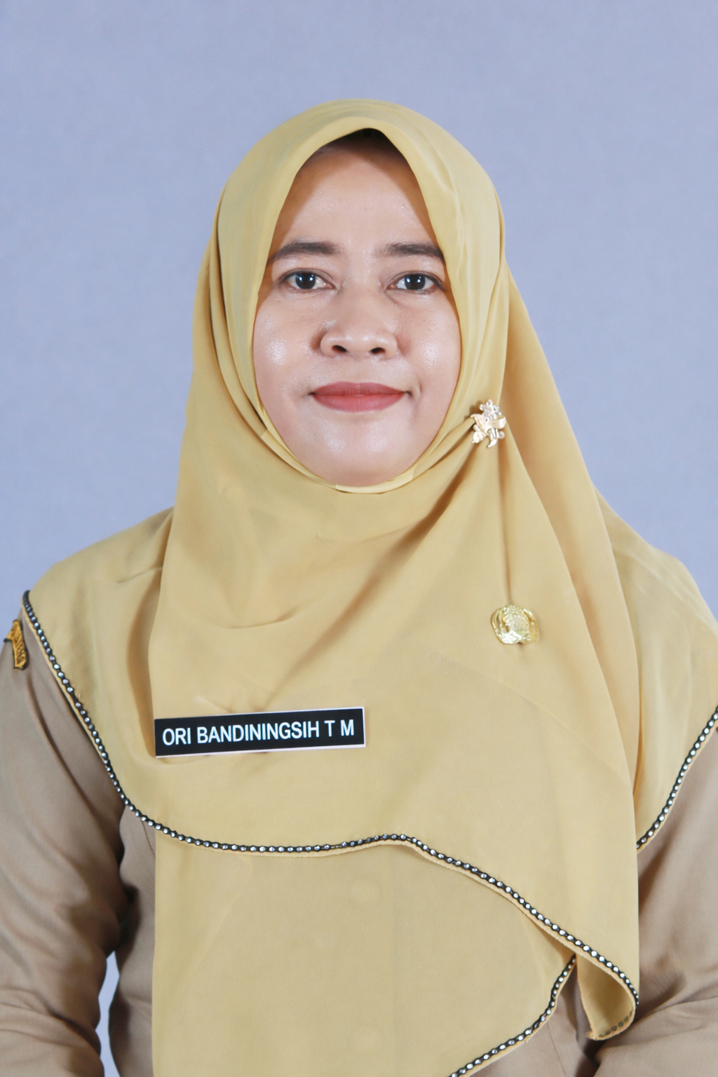 ORI BANDININGSIH TRI MULYANI, S.Si.